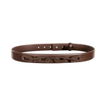Catena Brown Belt featuring a stylish chain design, perfect for enhancing outfits with elegance.