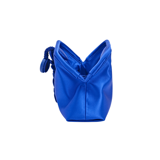 Alessa Sapphire Pouch Bag