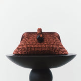 Delphine Terracota Pouch Bag