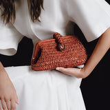 Delphine Terracota Pouch Bag